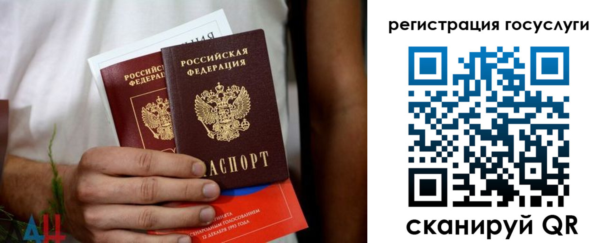 регистрация в Камчатской области